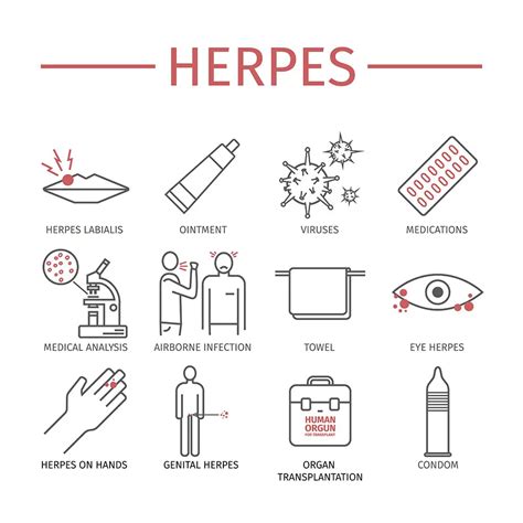 Herpes (Herpes Simplex) - Symptoms, Treatment | STD Herpes