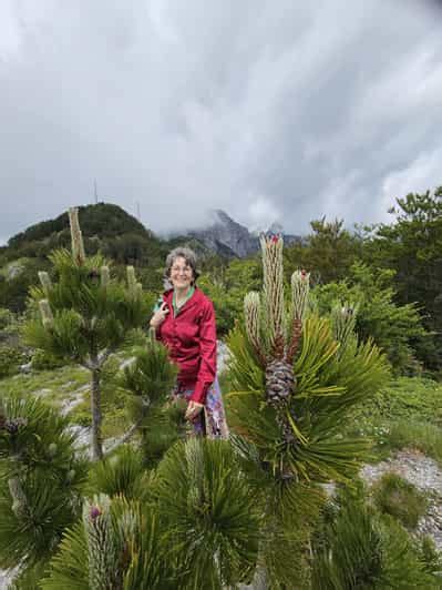 From Tirana Shkoder Hiking Day Tour Of Theth Blue Eye Getyourguide