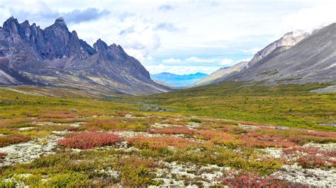 Days Grand Alaska Yukon Canadian Rockies Tour With Holland