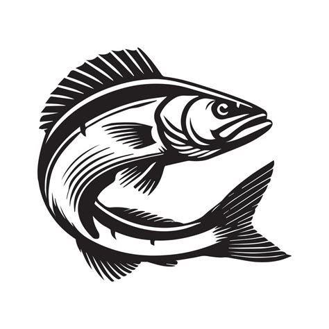 realistic walleye fish illustration clipart drawing  vector art