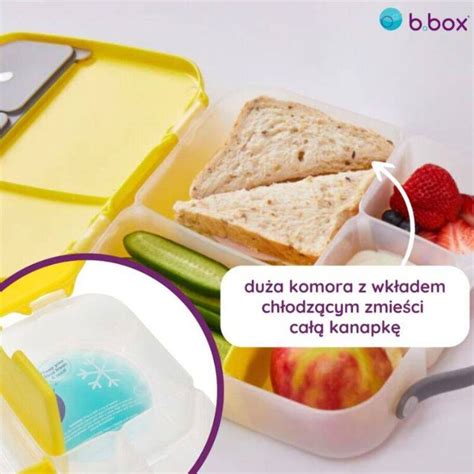 B Box Lunchbox Dla Dzieci Do Szkoły Z Przegródkami I Wkładem Chłodzącym Flamingo Fizz