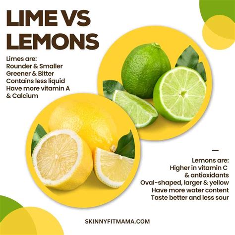 Lime Water Vs Lemon Water: Which Is Better? - Skinny Fit Mama