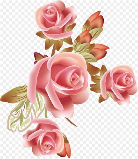 Rose Png Vector At Vectorified Collection Of Rose Png Vector Free