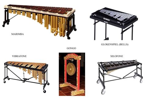 Ead e o Ensino da Percussão Instrumentos de Altura Definida e Altura