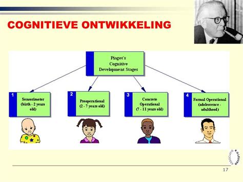 Voorbeelden Van Cognitieve Ontwikkeling Image To U