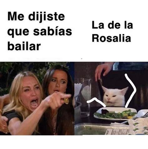 Viral Meme del gato en la mesa y una mujer gritándole FOTOS El