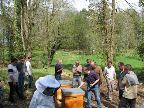 Initiation L Apiculture Syndicat Limousin Avicole Et