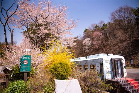 서울근교 가볼만한 곳 양평가족펜션으로 봄 꽃나들이 떠나요 국내여행 매거진 지니트립 Sjzine