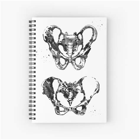 Cuaderno De Espiral Huesos Masculinos Y Femeninos De La Pelvis De