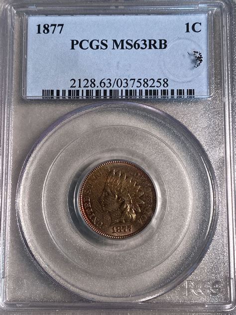 1877 Indian Head Cent Pcgs Ms63 Rb For Sale Buy Now Online Item