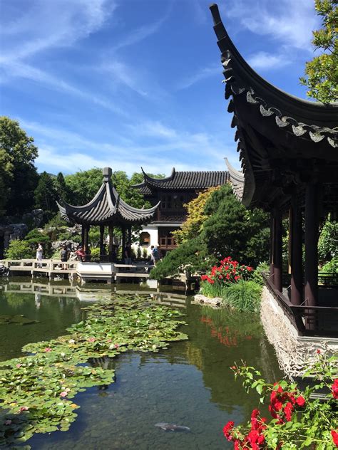 Portland S Lan Su Chinese Garden Guide For Visiting Hammock Hoppers