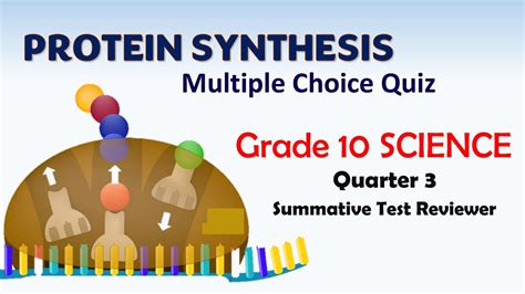 Science Quarter Periodical Exam Reviewer Protein Synthesis Youtube