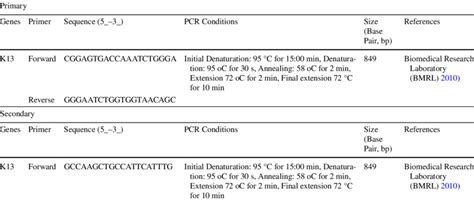 Pcr Amplification Of Plasmodium Falciparum K Propeller Gene Pfk