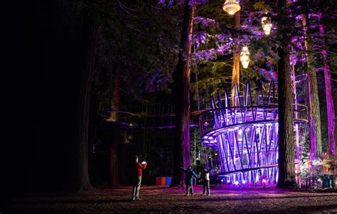 Things To Do In Rotorua At Night | Redwoods Nightlights Treewalk™