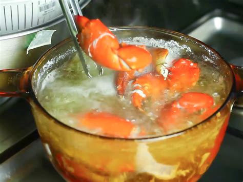 How to Boil Crab Legs: 6 Steps (with Pictures) - wikiHow