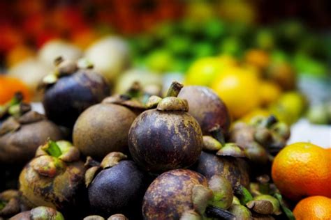 Mangosteen Benefits Healthier Steps