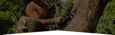 Ottawa Arborist Service Tree Removal Ottawa Croft Tree Experts