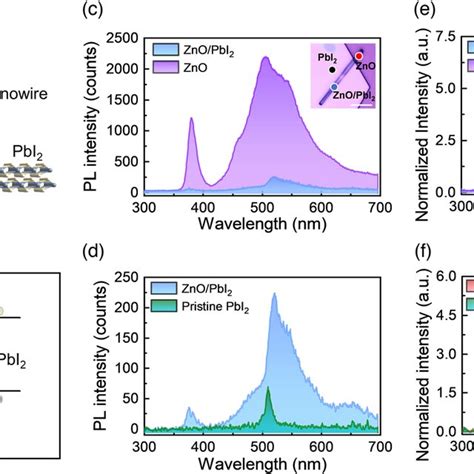 A Schematic Diagram Of The Znopbi 2 Heterostructure For The