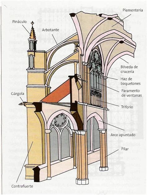 Sección De La Catedral Gótica Pilar Fasciculado Clariostorio O