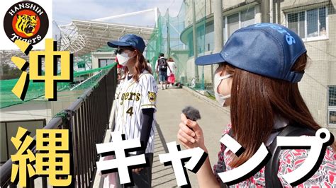 【沖縄キャンプ：宜野座】阪神タイガースvsサムスン戦行ってきた！2023年2月19日 Youtube