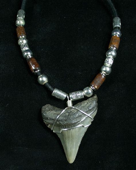 Megalodon Tooth Necklace Serrated For Sale Fossilera