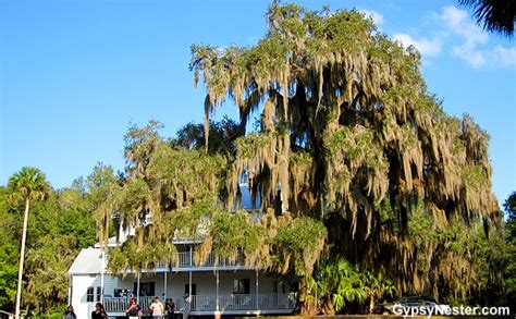 The GypsyNesters | Blue Springs State Park, Florida