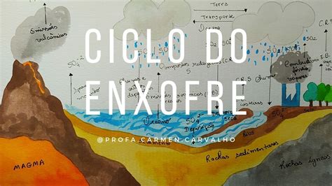 Ciclo Biogeoquimico Do Enxofre - 7
