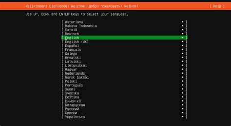 Ubuntu Server instalación y configuración IONOS MX