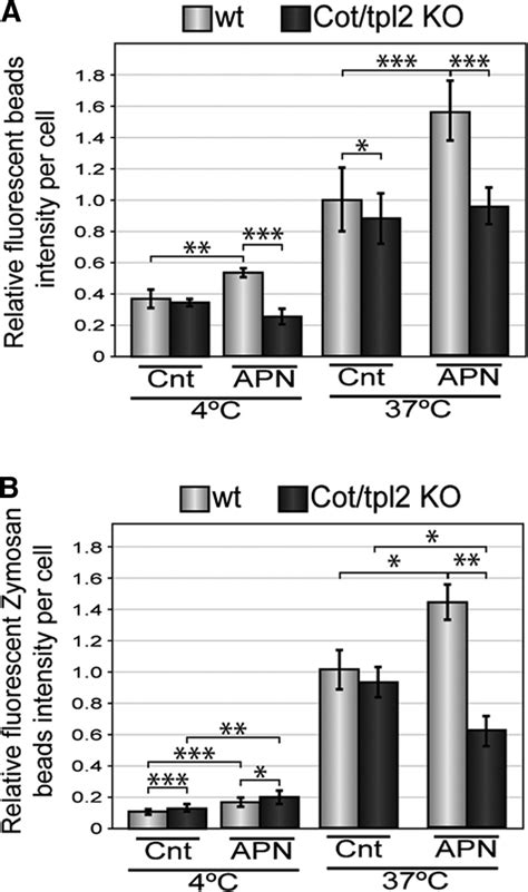 Involvement Of Cot Tpl In The Increased Phagocytosis Capacity Of