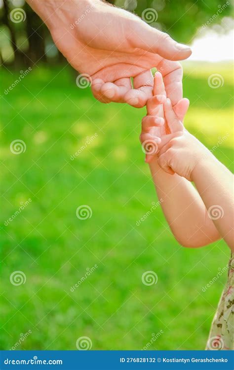 Les Mains De Parents Heureux Et D Enfants En Plein Air Dans Le Parc