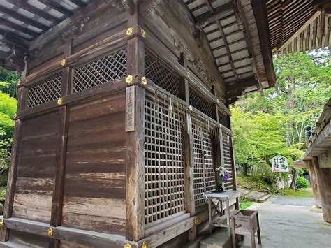 園城寺（三井寺）の御朱印・アクセス情報（滋賀県三井寺駅）（天台寺門宗）ホトカミ