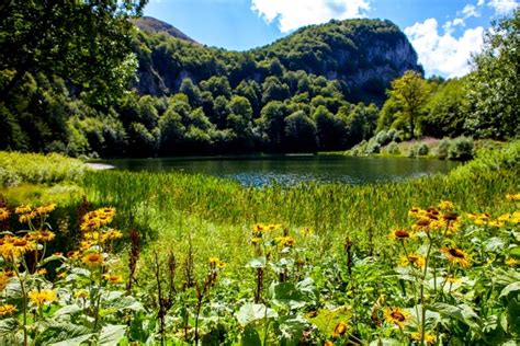 Upoznaj Bih Nacionalni Park Sutjeska Nevjerovatno Prirodno I