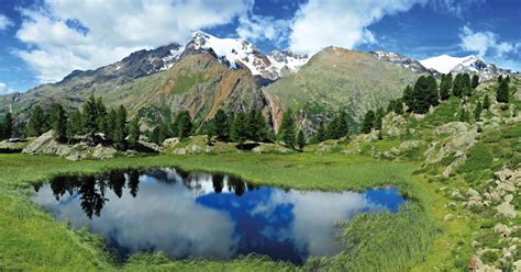 Parco Nazionale Dello Stelvio Val Di Sole