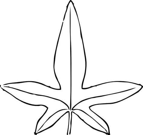 Jungle Leaves Template - ClipArt Best