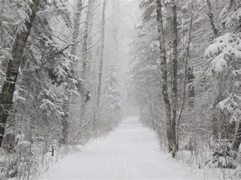 5 ways to win at winter in Manitoba’s Riding Mountain National Park ...