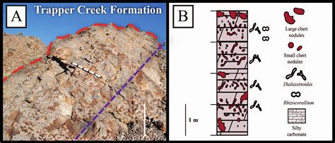 Trace Fossils Of Problematic Origin Assessing Silicified Trace Fossils