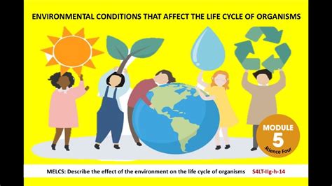 Environmental Conditions In The Life Cycle Of Organisms Youtube