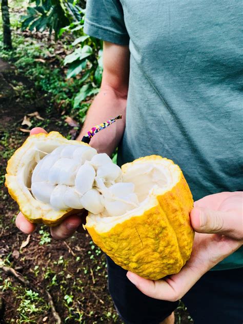 6 EPIC Things To Do In La Fortuna Costa Rica The Adventuring