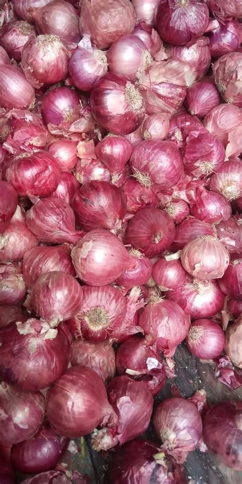 Maharashtra Dry A Grade Red Onion Gunny Bag Onion Size Available