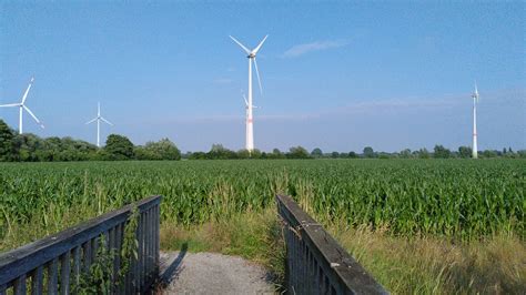 Molinetes Campo Naturaleza Foto Gratis En Pixabay Pixabay