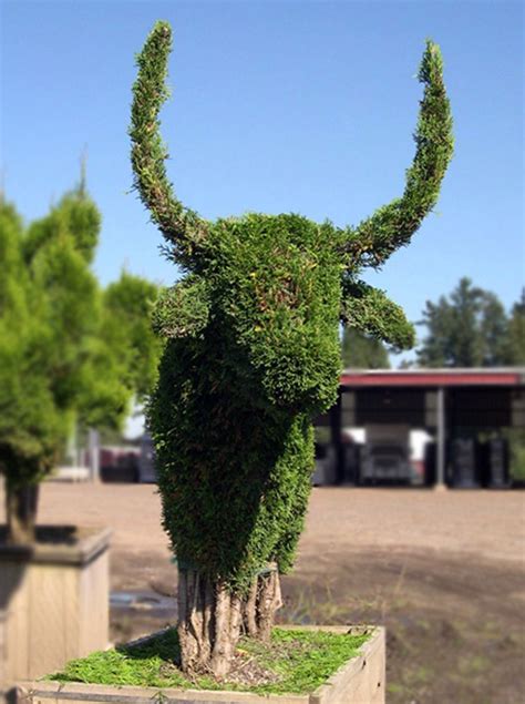 We the Leading Source of Live Topiary Plants & Trees, Animal Topairy ...