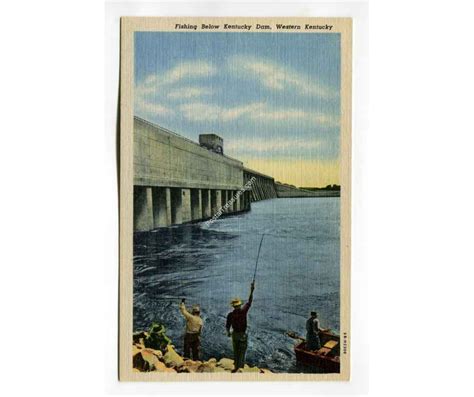 Fishing Below Kentucky Dam Western Kentucky vintage postcard