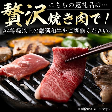 【楽天市場】【ふるさと納税】高千穂牛 ウデ焼き肉500g国産 宮崎県産 宮崎牛 牛肉 焼肉 ウデ肉 霜降り A4 和牛 ブランド牛