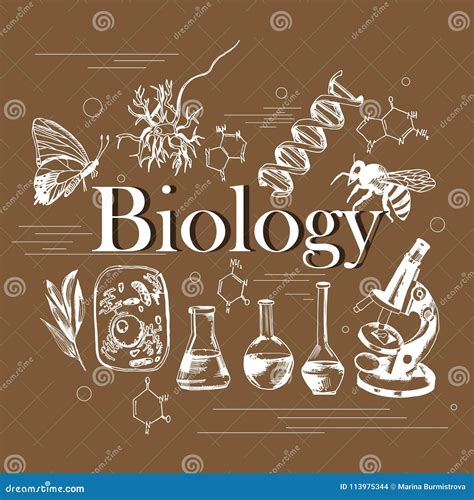 Biology Hand Drawn Doodles With Lettering Cartoon Vector 135246167