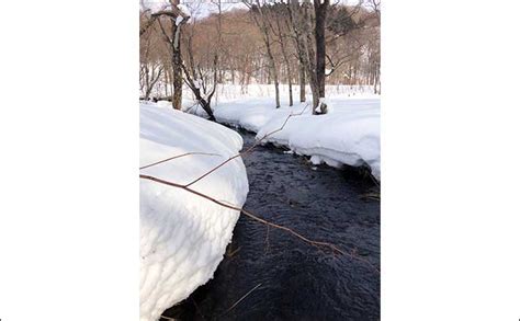 本格的な冬真っ最中の北海道での渓流ルアー釣りで35cmブラウントラウト手中【尻別川】｜釣りまとめアンテナ