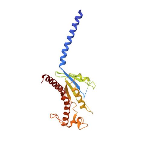 RCSB PDB 8POK Cryo EM Structure Of Cell Free Synthesized Human