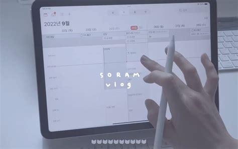 （soram）【221003】油管搬运｜自制中字｜制定每周计划｜在家学习的vlog 桃酥加豆奶 桃酥加豆奶 哔哩哔哩视频