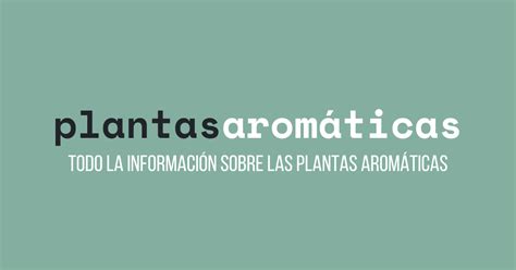 Tipos de Ají Cuáles son Cuáles existen PlantasAromaticas ORG