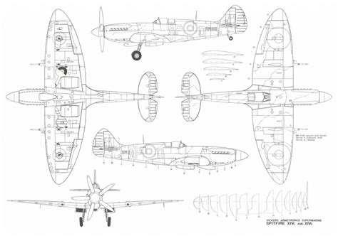 Spitfire Plane Drawing | Peter Verdone Designs