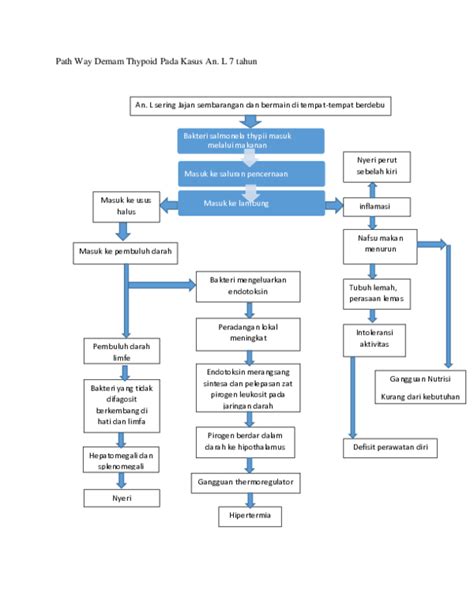 Doc Path Way Demam Thypoid Pada Kasus An Alvinda Kurnia Dewi